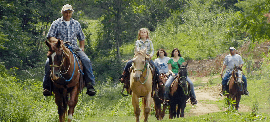 Horseback Trail Riding Near Asheville Bison Farm