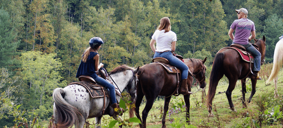 Horseback riding smoky mountains deals