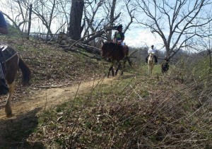 Orlando family enjoying the horseback trail riding near Asheville