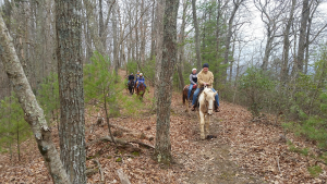 Enjoying the trails and cool weather