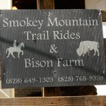 Smoky-Mountain Horseback Trail Rides